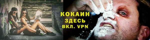 прущие грибы Богородск