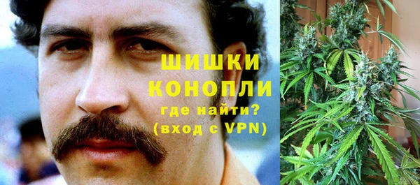 винт Богданович