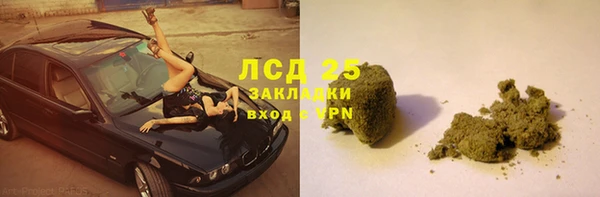 прущие грибы Богородск
