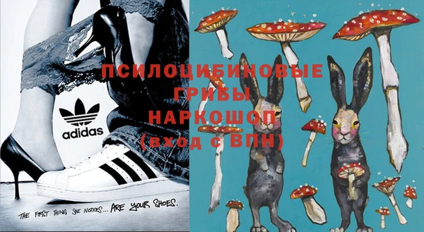 винт Богданович
