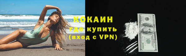 винт Богданович