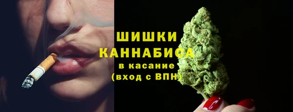 дурь Богородицк