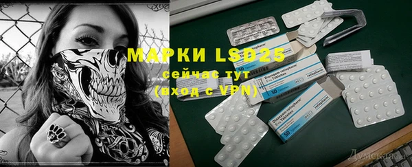 винт Богданович