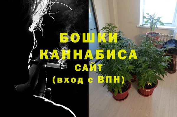 дурь Богородицк