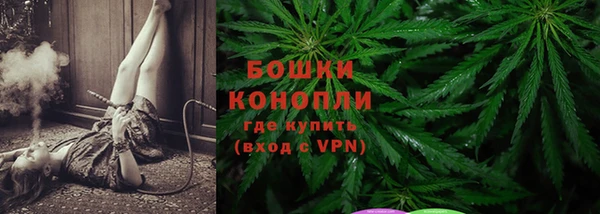 дурь Богородицк