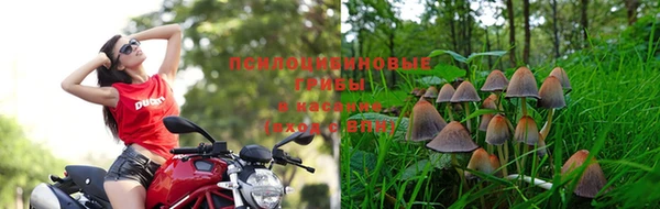 винт Богданович