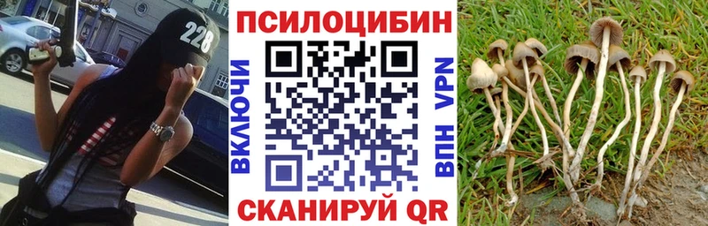 Галлюциногенные грибы прущие грибы  Купить где  Спасск-Дальний 
